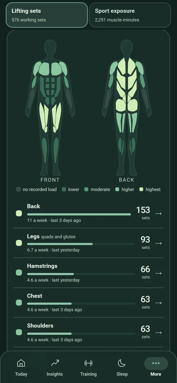 Muscles screen: a body map of trained muscle groups